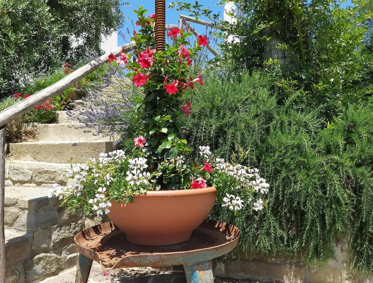 Villa Colle Di Giotto Mugello, Tuscany Borgo San Lorenzo